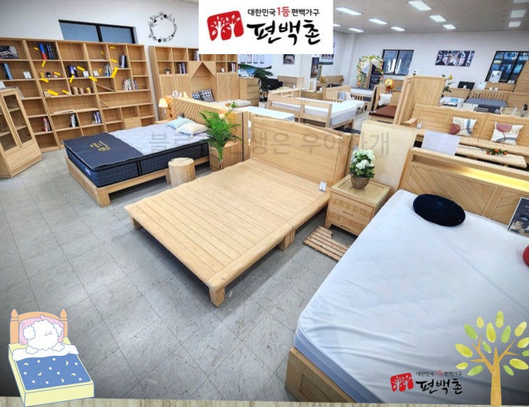  편백나무침대가 비염에 좋다고 부천가구단지 가서 견적보고 온 후기(할인꿀팁)