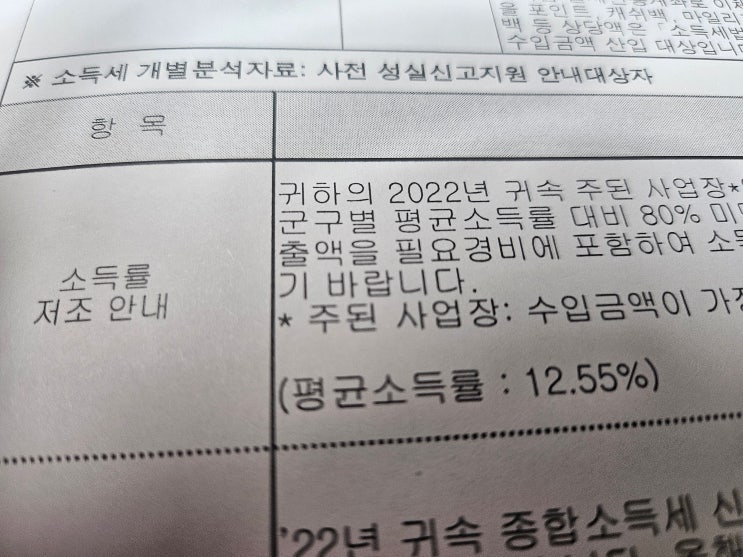  2024년 종합소득세 신고 소득세 개별분석자료 - 사전 성실신고지원 안내대상자 (신고시 도움이 되는 사항)