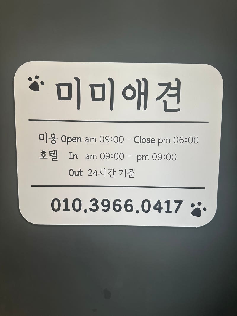 사진 2