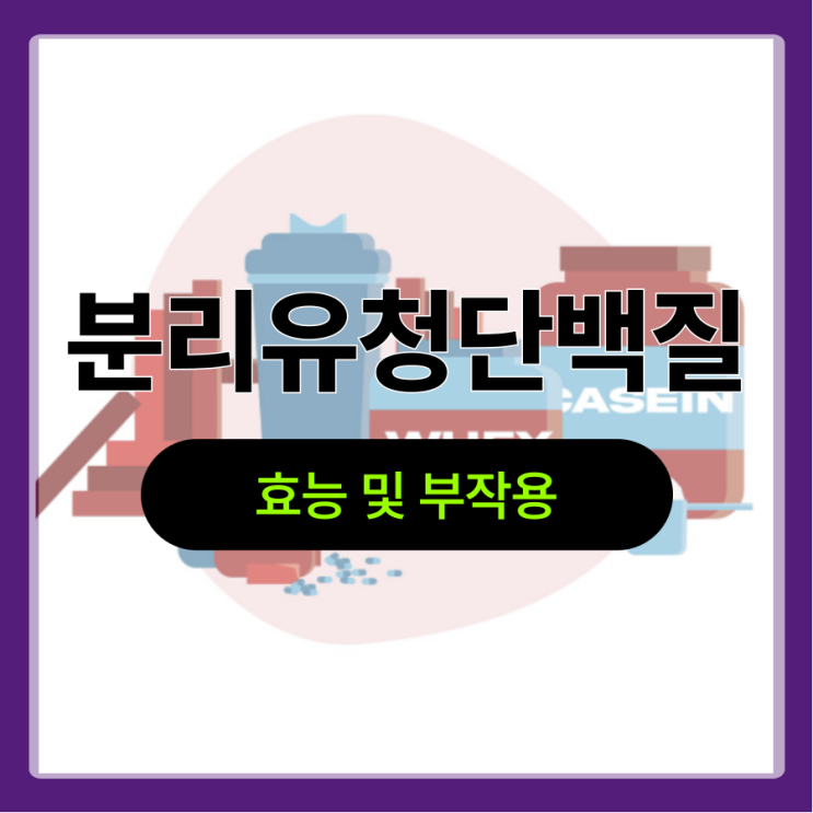  분리유청단백질 뜻 효능 및 부작용! 섭취 전 읽어보세요