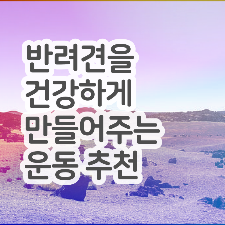  반려동물 등록 확인 , 반려견운동지도사자격증 합격 비법 , 학습과정