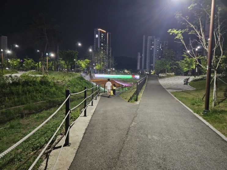  264일차