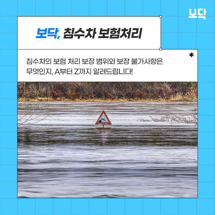  침수차 보험처리 과연 가능할까? 많은 분들이 몰랐던 보험 가능 범위 Tip!