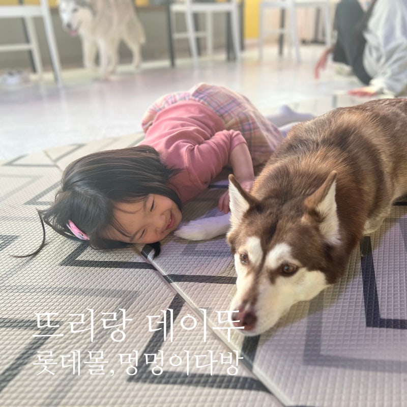 사진 2