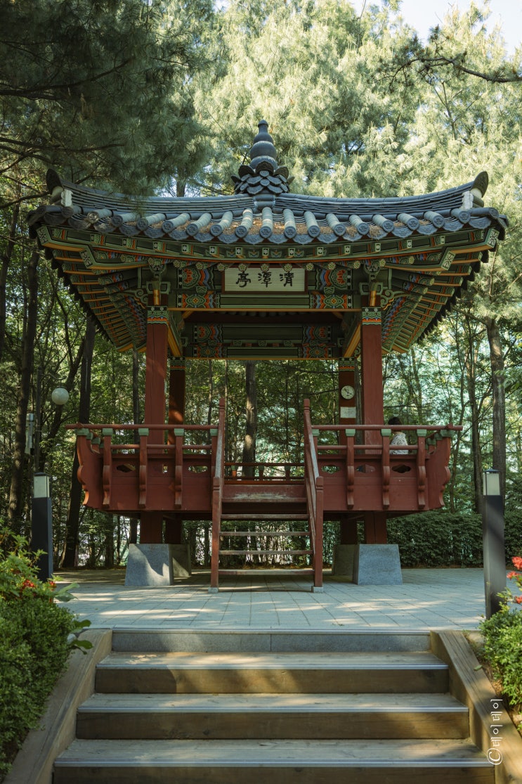  ::서른세 번째 공원:: 실개천이 흐르는 아파트에 둘러싸인 동네 뒷산 '청담근린공원'