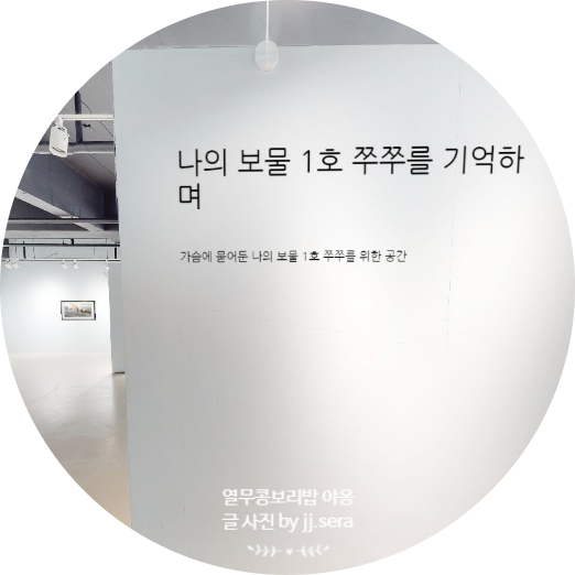  강아지 고양이 장례 - 포포즈 온라인 추모관 개설로 펫로스증후군 위로받기