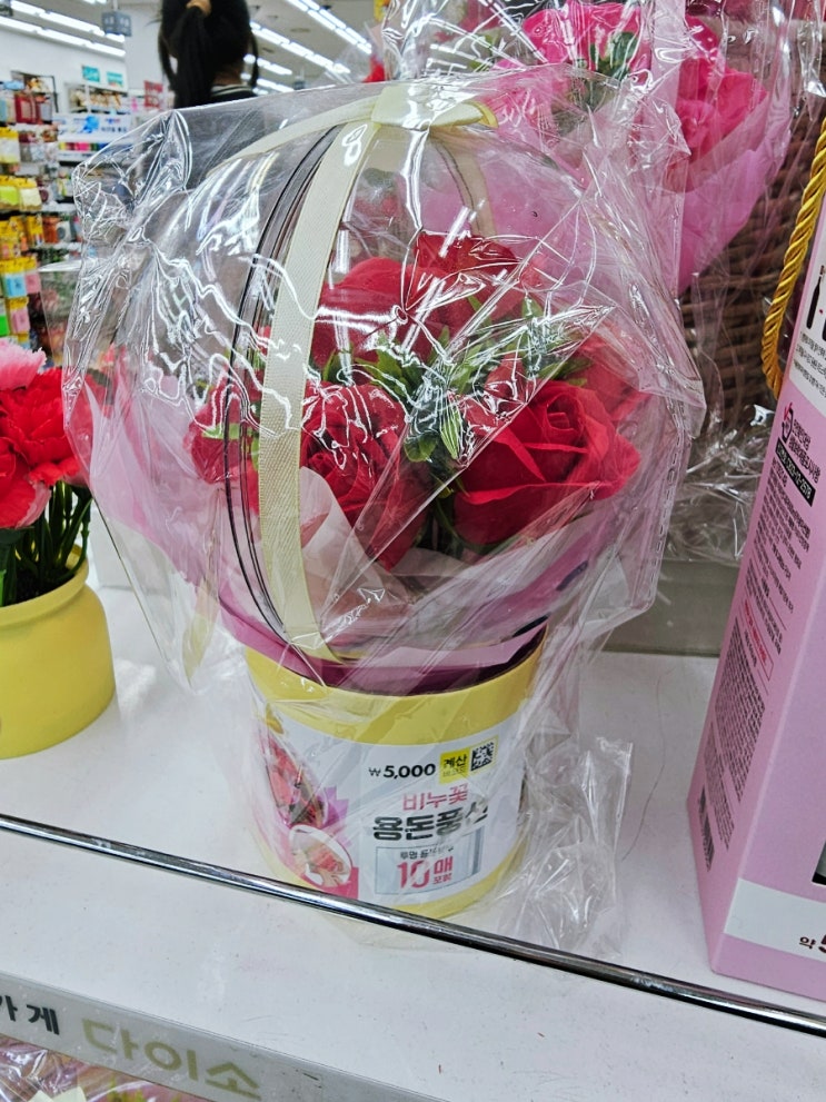  다이소 용돈박스 오천원의 행복 어버이날 준비해요 / 고양화정점