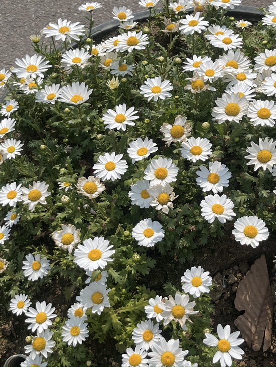  지난 날들 모아서
