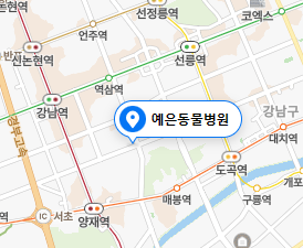 예은동물병원 예약 과정 및 TPLO 수술 전 과정(1)