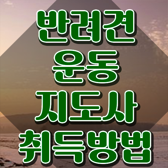  오산 강아지 훈련사 반려견운동지도사 취득한 방법 , 학습방법
