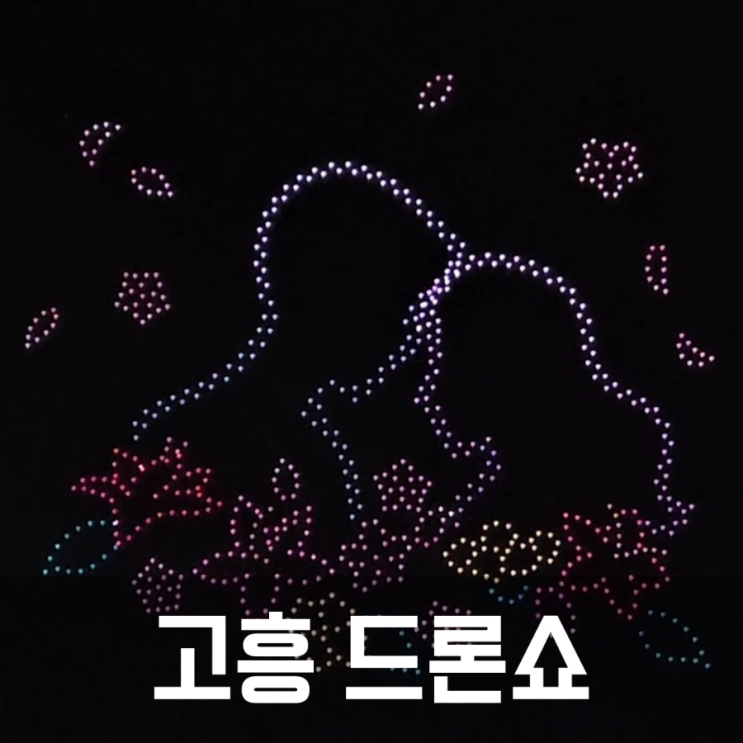  2024년 고흥 녹동항 드론쇼 바다정원 일정 주차 팁