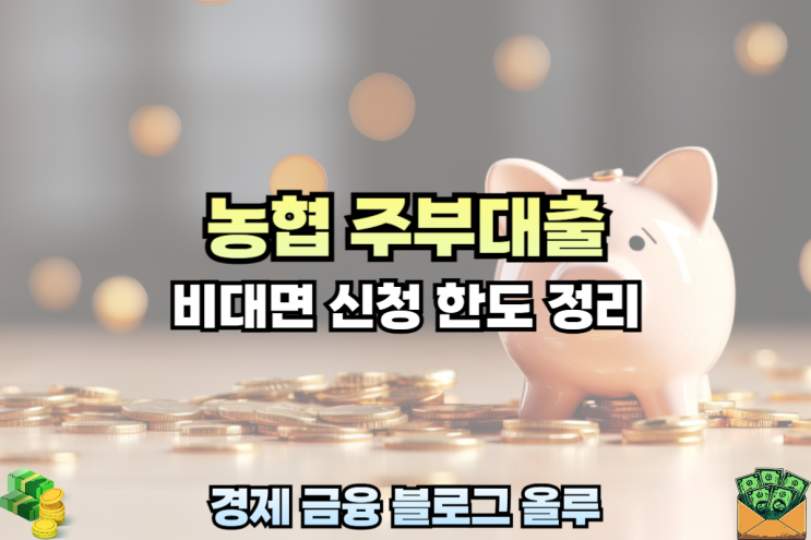  농협 주부대출 비대면 신청 한도 대안정리