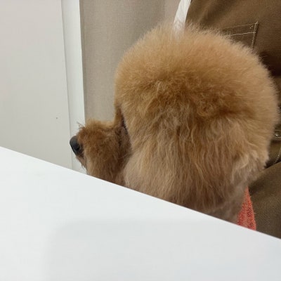 사진 3