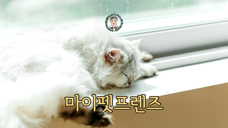 사진 9