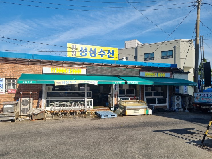  양양 현지인 맛집 회포장전문 싱싱수산