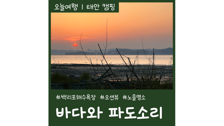 백리포해수욕장 오션뷰 태안캠핑장 추천 바다와파도소리 애견동반 바닷가 캠핑장 백리포해수욕장 오션뷰 태안캠핑장 추천 바다와파도소리 애견동반 바닷가 캠핑장