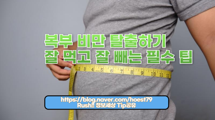  2024년 최신 정보로 배우는 비만 예방과 체중 관리! 복부 비만 해결, 체중 감량 팁 등 건강한 생활을 위한 필수 가이드!