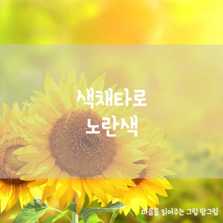  색채 컬러타로 노란색 옐로우 컬러타로카드 배우기