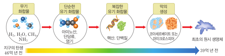  생명과학 2 - 생명의 기원과 진화