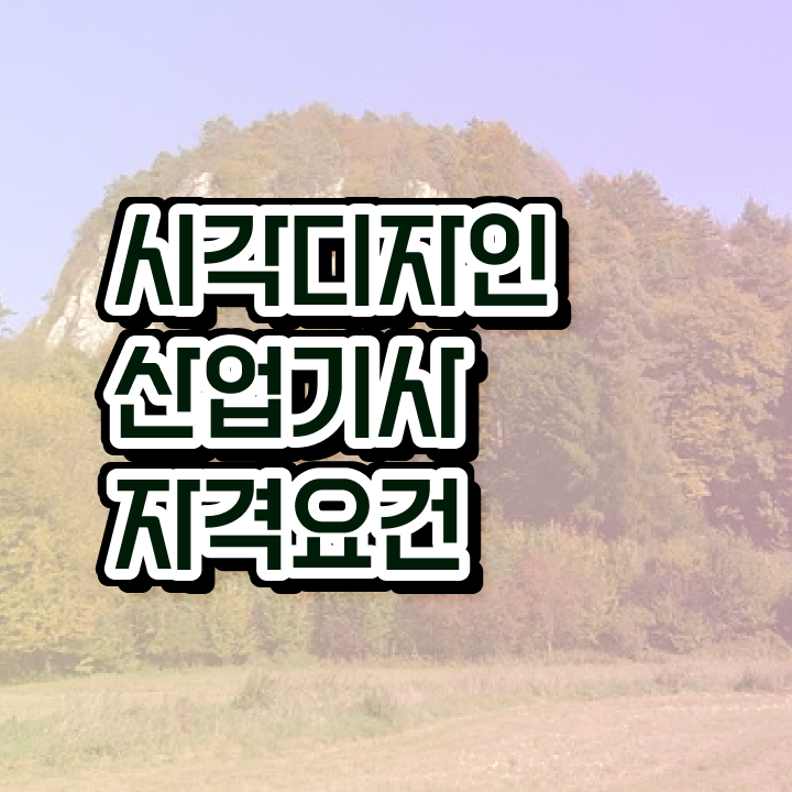  시각디자인산업기사 시험 접수 시각디자인산업기사 응시자격 집에서 온라인으로 5개월 만에 완료한 전략