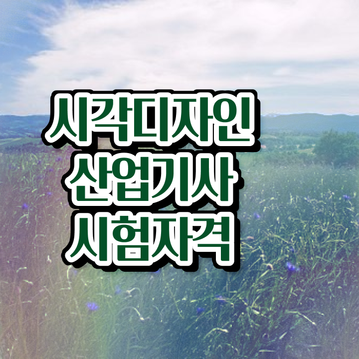  시각디자인산업기사 필기 난이도 시각디자인산업기사 시험응시조건 인강만 듣고 5개월 만에 끝낸 전략