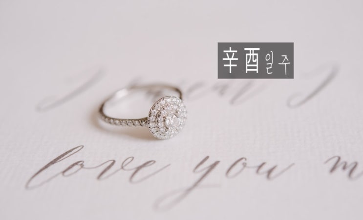 <b>신유</b>(辛酉)일주 특징과 2024 갑진년 운세
