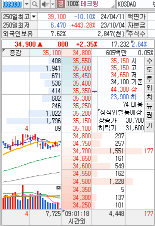  국내주식 2024-05-03 (금) 테크윙(089030)