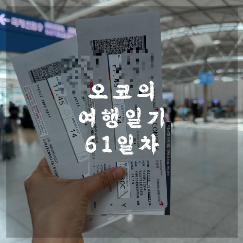  오코의 100일 여행일기 DAY 61 항공권 예약 실수