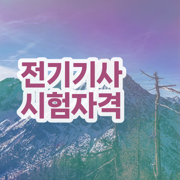  산업안전기사 전기기사 전기기사 시험응시조건 독학으로 15주 동안 갖춘 전략