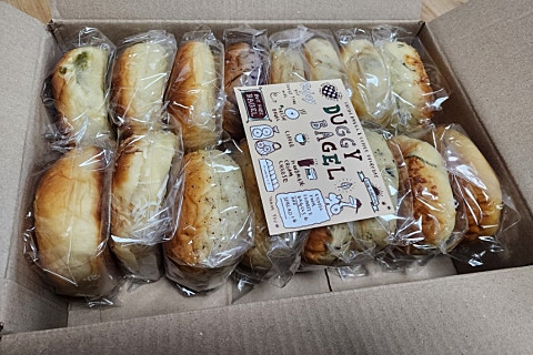 또바기님 이미지