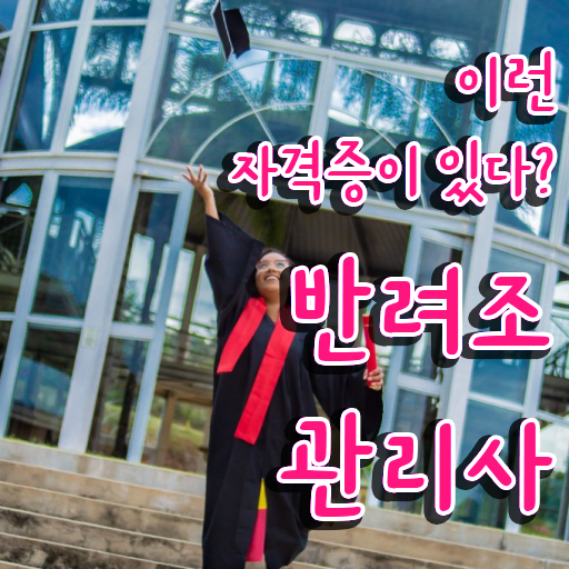  앵무새 털빠짐 , 반려조관리사 자격증 학습 총 정리