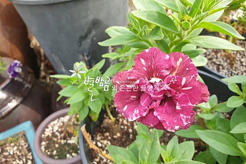 (주)하나마이 이미지