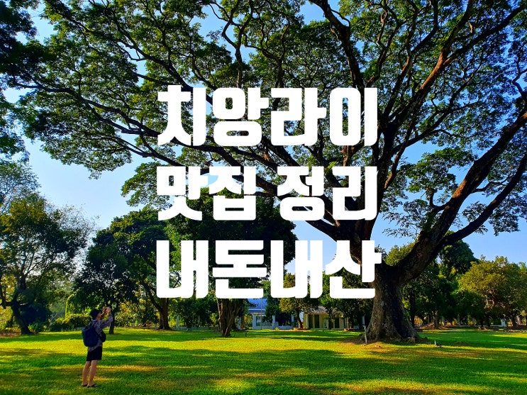  내 돈 내 산 치앙라이 맛집총정리 (+ 카페,로 띠 맛집)