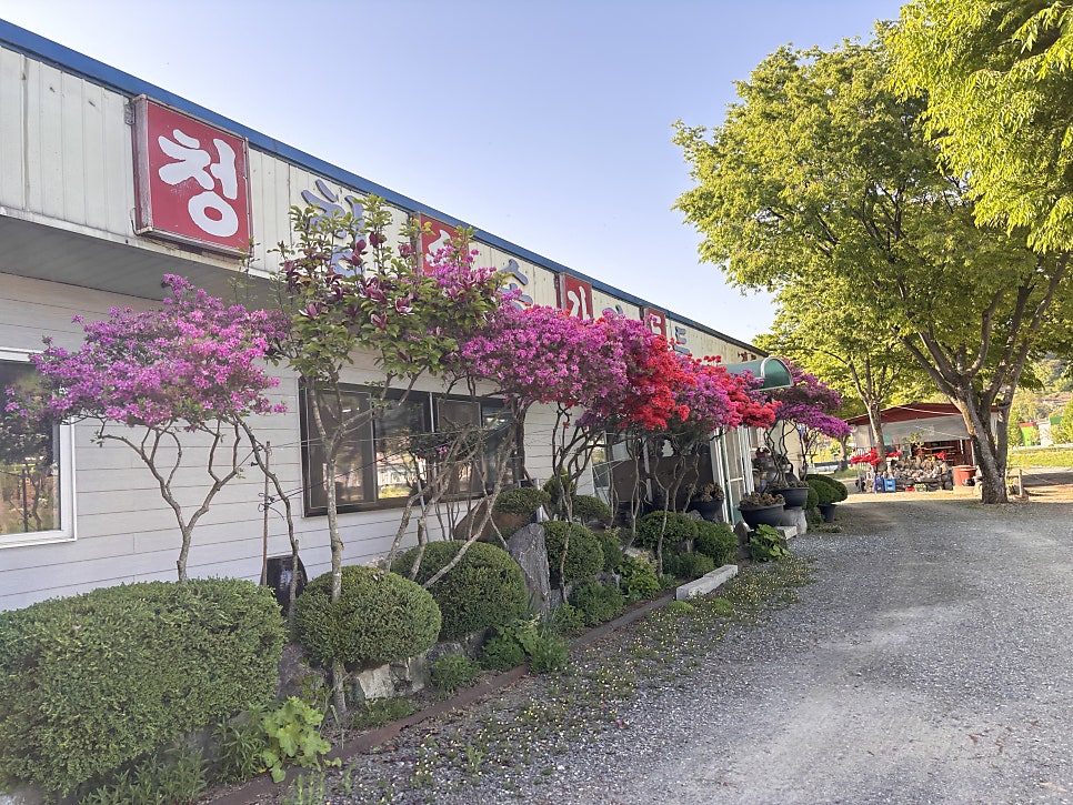 청솔가든 사진 4