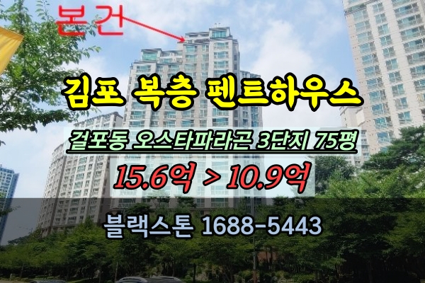  김포한강신도시 펜트하우스 경매 걸포동 오스타파라곤 3단지 복층 75평 매매