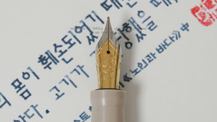  공격당한 느낌 (유레카 PEEK M닙 만년필로 필사하기)