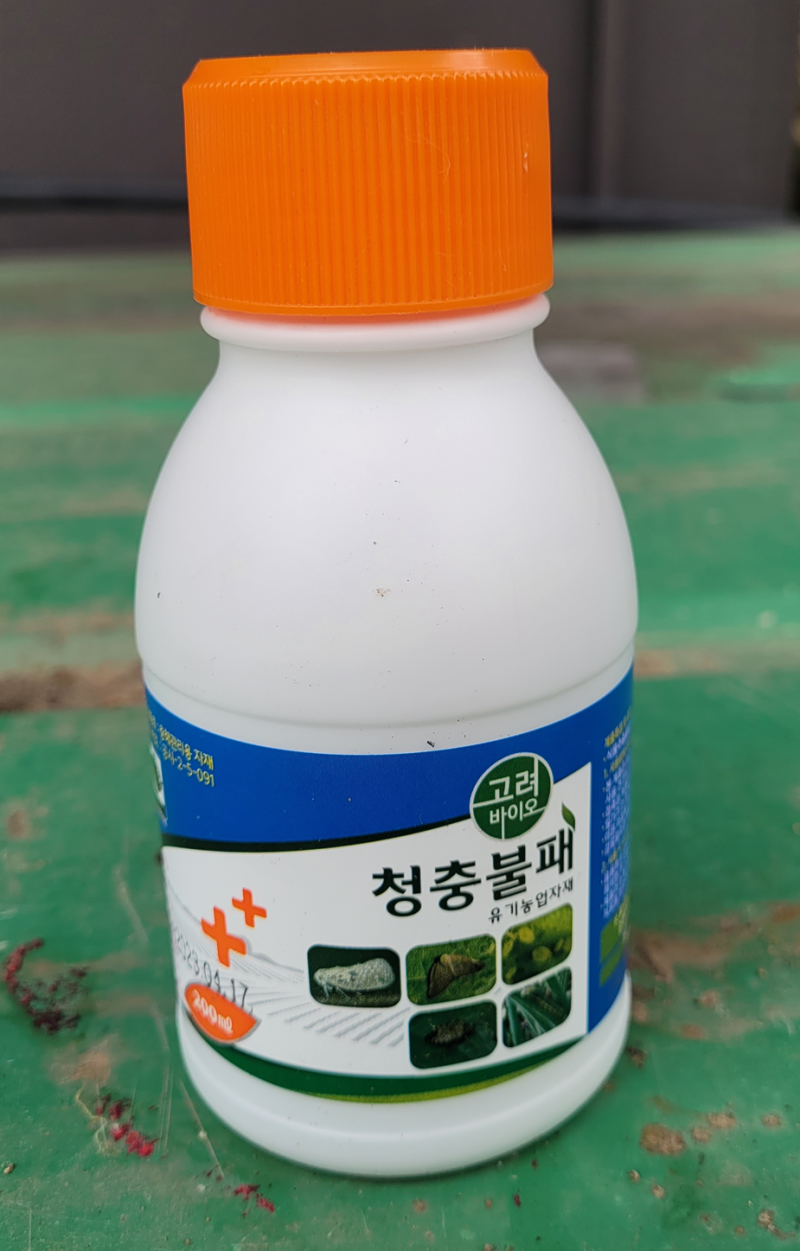 청춘불패 아니고 블루베리 나무를 위한 유기농업자재 청충불패