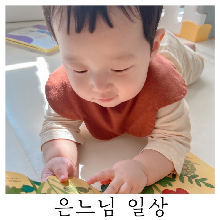  [은느님 일상]이젠 같이 노는 것도 아는 아이가 되었구나