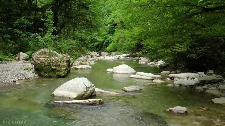  양식조리산업기사 연봉 양식조리산업기사 시험자격 온라인 수업으로 15주만에 끝낸 비법