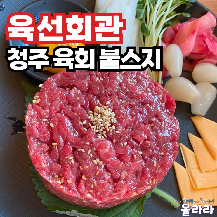 청주 산남동 불스지 육회 맛집 육선회관