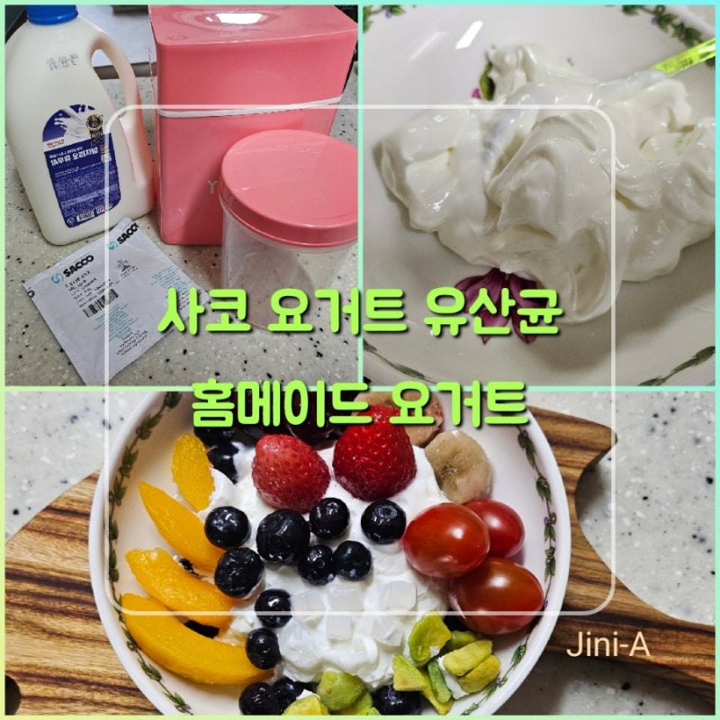 《사코 요거트 유산균》 집에서 쉽고 가성비좋은 그릭요거트 만들기