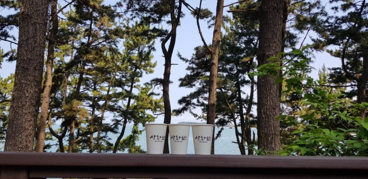  충남 보령여행 추천 보령 죽도 상화원 세계에서 가장 긴 회랑 한옥마을 주차장 입장료 대중교통이용법