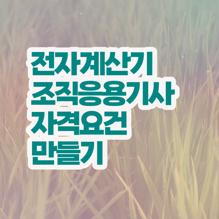  전자계산기조직응용기사 접수 전자계산기조직응용기사 자격요건 집에서 온라인으로 1학기 만에 준비한 과정
