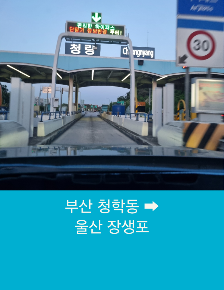  부산콜택시 부산에서 울산 장생포까지 장거리택시운행