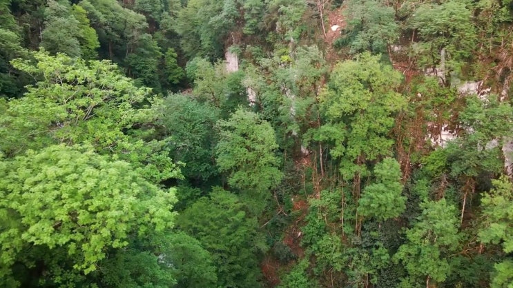  바이오화학제품제조산업기사 자격 요건 바이오화학제품제조산업기사 응시자격 온라인 과정으로 빠르게 성공한 과정