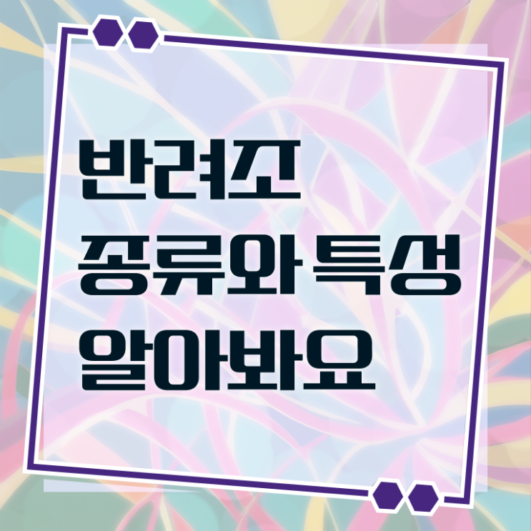  반려조 , 반려조관리사 자격증 독학으로 취득한 방법 , 취업관련 정보