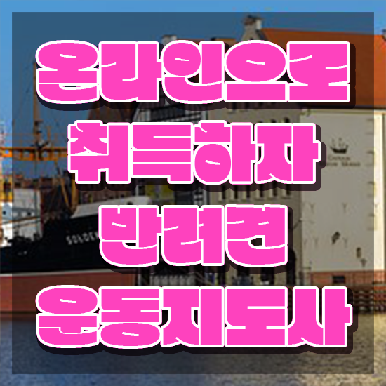  반려견운동지도사 상담사 , 반려견운동지도사자격증 간단하게 합격 전략