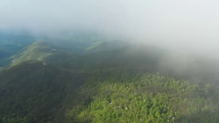  화훼장식산업기사관련학과 화훼장식산업기사 시험응시자격 온라인으로 단기간에 완료한 팁