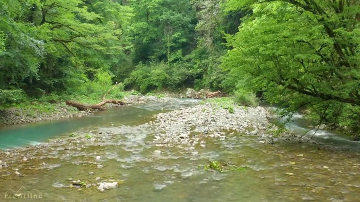  수질환경산업기사 필기 합격기준 수질환경산업기사 시험응시자격 집에서 온라인으로 간편하게 끝낸 노하우