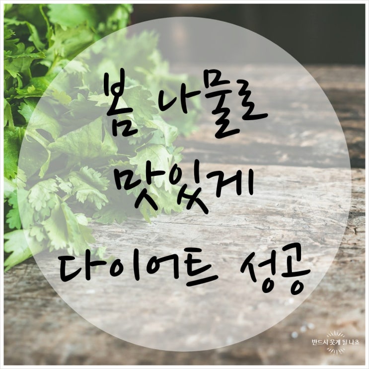  아직도 맛없게 다이어트하니 봄 제철 나물로 맛있게 다이어트 성공하자 ㅣ 봄 제철 나물의 종류와 효능
